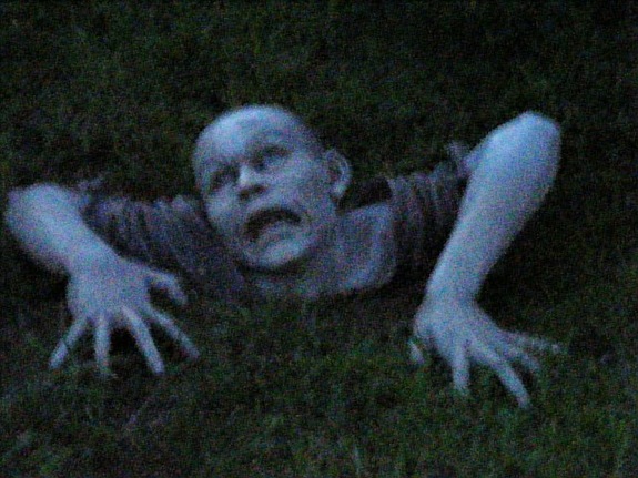 lawn_zombie2